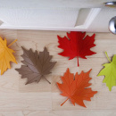 Bloker do drzwi JESIEŃ Qualy brązowy QL10072