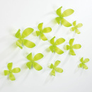 Dekoracja ścienna Wallflower Umbra kiwi umbra 470040-316