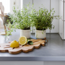 Deska do krojenia i serwowania z wyżłobieniem Liść Dębu Spring Copenhagen 2006