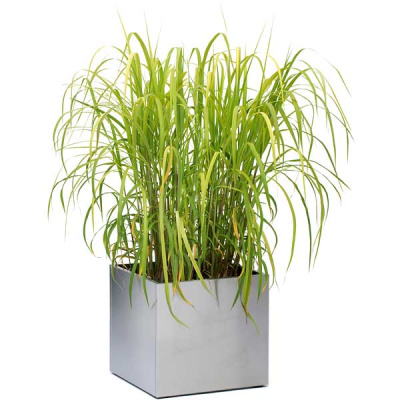 Doniczka Blomus Greens 45 cm B652off36
