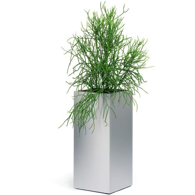 Doniczka Blomus Greens 90 cm B65offf239