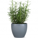 Doniczka duża Rosendahl Grand Cru szara 20582