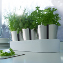 Doniczki na zioła Auerhahn Herbs 30012506