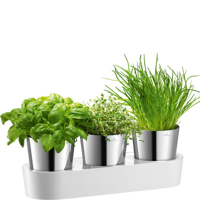 Doniczki na zioła Auerhahn Herbs 30012506