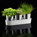 Doniczki na zioła Auerhahn Herbs 30012506