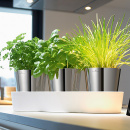 Doniczki na zioła Auerhahn Herbs 30012506