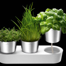 Doniczki na zioła Auerhahn Herbs 30012506