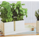 Doniczki na zioła Kitchen Craft miętowe LNHERBBLU