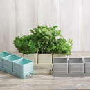 Doniczki na zioła Kitchen Craft miętowe LNHERBBLU