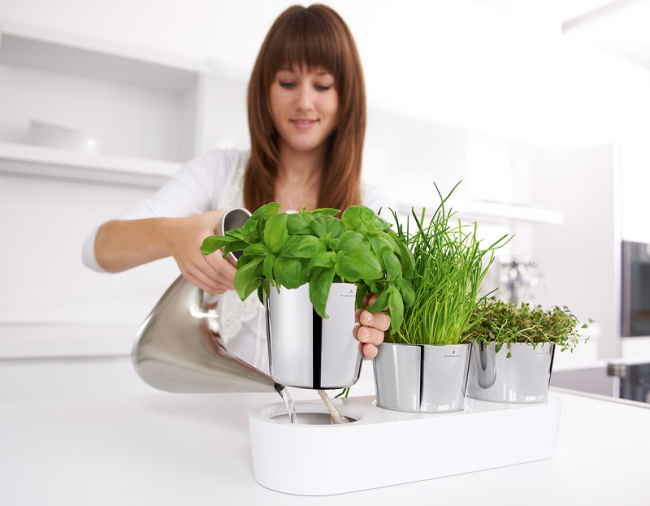 doniczka na zioła WMF