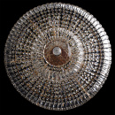 Ekskluzywny, kryształowy 9 punktowy żyrandol CHIARO Crystal 340011409