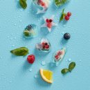 Forma do lodu Pingwiny Lekue 0850800V08C150