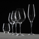 Kieliszek do szampana Cabernet Holmegaard 4303335