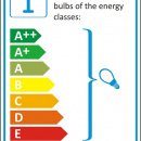 Kinkiet o kształcie bukietu róż Flora MW-Light 421022801
