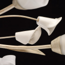 Kwiatowe oświetlenie sufitowe kremowo-złota podstawa i białe klosze MW-Light 242016906