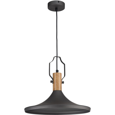 Lampa wisząca czarna, metalowa z drewnianą bazą Bicones Maytoni Modern P359-PL-350-C