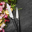 Mały nóż kuchenny uniwersalny TB Maestro Evercut 11cm TB-10424273