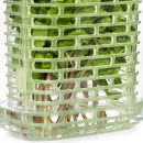 Mały pojemnik do przechowywania świeżych ziół Greensaver OXO 11212200MLNYK