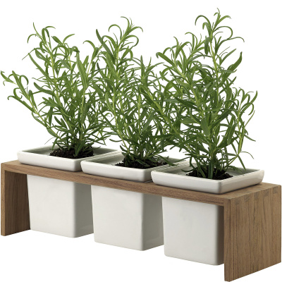 Miseczki ceramiczne w tekowej podstawie Plint 3 Skagerak S1836720