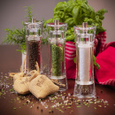 Młynek do soli akrylowy 18 cm Aachen Zassenhaus ZS-035070