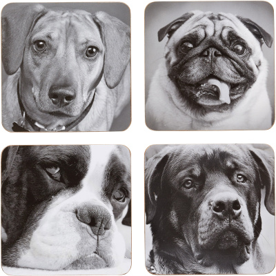 Podkładki korkowe pod szklanki Psy Kitchen Craft 4 sztuki KCDCDOGPK4