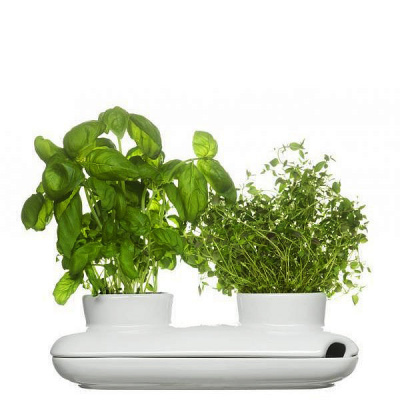 Podwójny wazon na zioła Sagaform Herbs & Spices SF-5015859