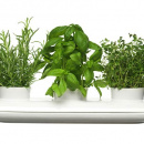 Potrójny wazon na zioła Sagaform Herbs & Spices SF-50152off74