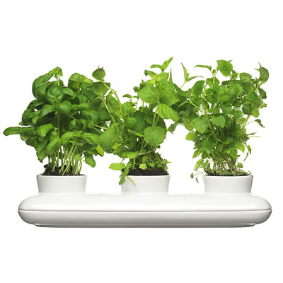 Potrójny wazon na zioła Sagaform Herbs & Spices SF-50152off74