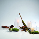 Przeźroczysty wazon Diamonds Zwiesel 1872 średnia wielkość SH-6079-220-CC