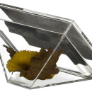 Ramka na zdjęcie Authentics Face Mini 10304