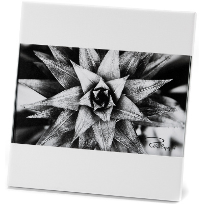 Ramka na zdjęcie biała 10x15 cm ZAK Philippi P152013