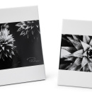 Ramka na zdjęcie biała 10x15 cm ZAK Philippi P152013