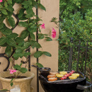 Rondelek żeliwny 0,44 Litra Lodge LMP3