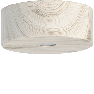 Spot oświetleniowy LED RegenBogen Techno jasne drewno 16 x 6 cm 712010601