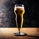 Szklanki do degustacji piw świeżych, lekkich i zrównoważonych PG-250430