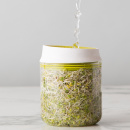 Szklarnia do kiełków Chef'n 102-742-390