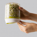 Szklarnia do kiełków Chef'n 102-742-390