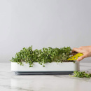 Szklarnia kuchenna na zioła 2w1 Chef'n 102-741-389-IN