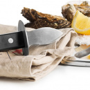 Taca i nóż do ostryg Seafood Sagaform SF-5017816