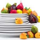 Talerz Bodum Bistro 18cm biały BD-7322-03
