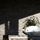 Wazon Donna Philippi P181013