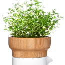 Wazon na zioła Fix Sagaform SF-5016101