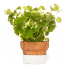 Wazon na zioła Fix Sagaform SF-5016101