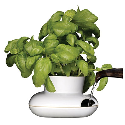 Wazon na zioła mały Sagaform Herbs & Spices SF-5007162