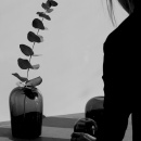 Wazon Troll Menu mały 4731949