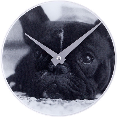 Zegar Dog Nextime 5173