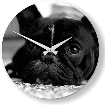 Zegar ścienny Nextime Dog B2001140