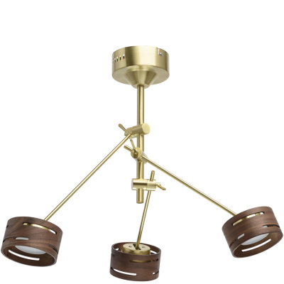 Złota lampa wisząca z regulowanymi reflektorami LED RegenBogen Megapolis 725010203