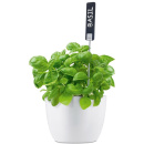 Znaczniki do roślin Blomus Planta 2 sztuki B65393