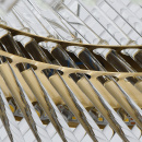 Żyrandol wiszący, szklane rurki LED Adelard MW-LIGHT Crystal 642013901